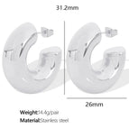 Eh476 Silver Earrings