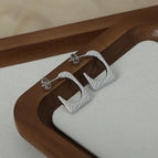 F1169-Steel Earrings
