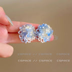 Earrings 0359