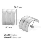 Eh842s Silver Earrings