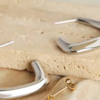 F280-Steel Earrings