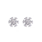 A138-21 Silver Snowflake