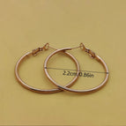 Rose Gold / 22mm Pair