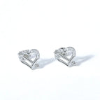 Steel Heart-Shaped E0041s