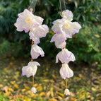 Fashion dry petal tassel long stud earrings