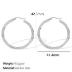 Eh832 Silver Earrings