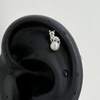 A1535 Cat Stepping on Pearl