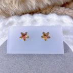A Pair of Stars