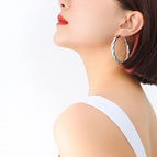 F255-Steel Large Earrings