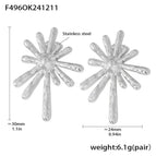 F496-Steel Earrings