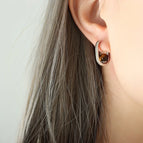 F685-Steel Tigereye Earrings