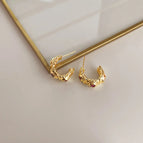 Medieval Zircon Earrings-Silver Needle