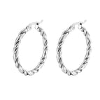 2 Twisted Earrings Steel Color