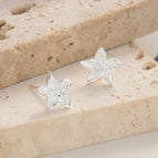 Silver/pair / 925 silver (with silver earplugs)