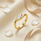 6 / Gold 2
