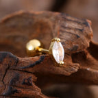 3135 Gold / Ear Studs