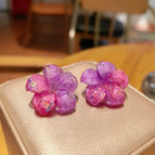 Non piercing ear clips