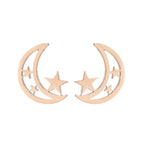 304 Rose Gold