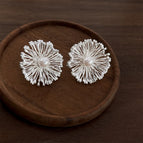 Brilliant Fireworks-Silver Needle