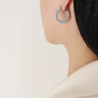 Steel Zircon Earrings