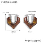 Steel Earrings