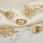 6 / Gold 2