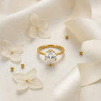 6 / Gold 2