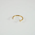 Rod Thickness * Inner Diameter * Head 1x10x2mm / round White Zirconium-Gold