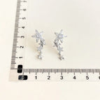 Zircon Star River Fall-Silver Needle