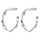 Twisted Wire C- Shaped Earrings Steel Color