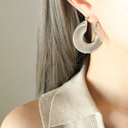 F702-Steel Earrings