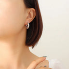 F602-Steel Zircon Earrings
