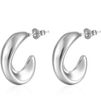 Irregular C- Shaped Earrings Steel Color