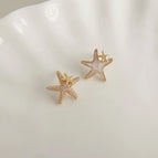 Zircon Starfish-Silver Needle