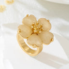 R1379-ring