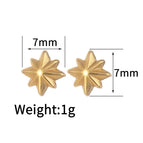 Jze887-Eight awn star