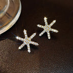 Earring Series-436