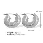 Eh252 Silver Earrings
