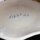 95# Silver Needle-Silver round-Six-Piece Set