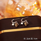 27#Brown Square Zirconia Stud Earrings