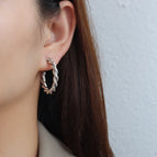 F487 Steel Earrings