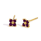 Gold-June Purple