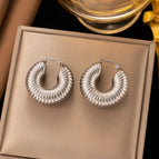 45 [Ag360] 30 Thread Earrings Steel Color